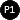 P1Small.png